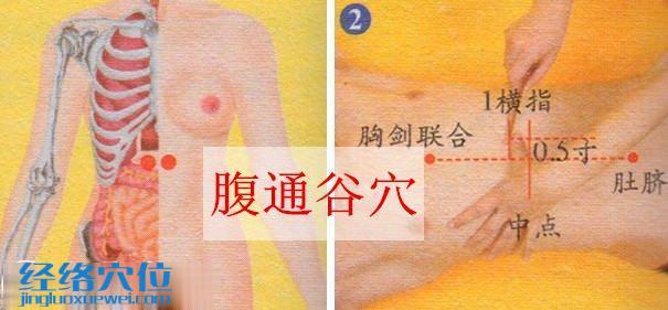 腹通谷穴位位置圖