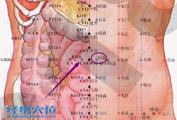 肓俞穴的準確位置圖