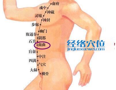 商曲穴位圖