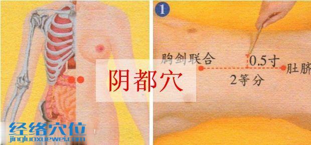 陰都穴的準(zhǔn)確位置圖