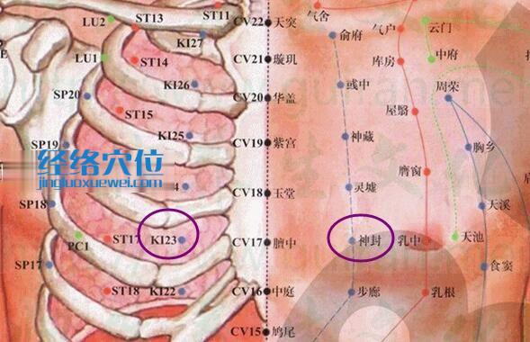 神封穴的準確位置圖