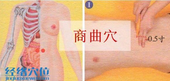 商曲穴的位置圖