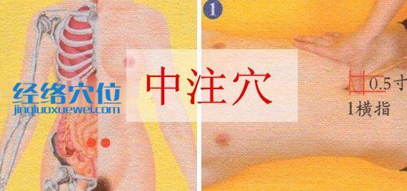 中注穴的準(zhǔn)確位置圖