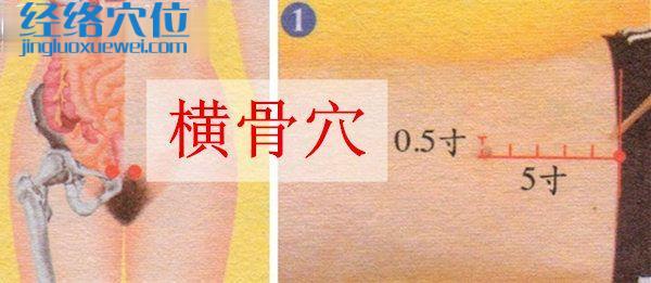 橫骨穴的準(zhǔn)確位置圖