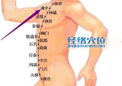 彧中穴位圖