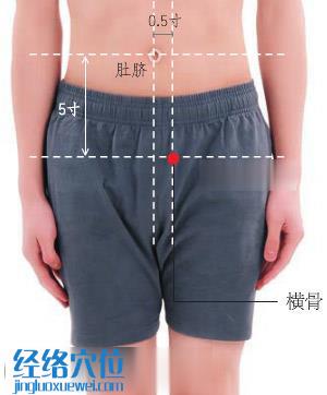 橫骨穴位位置圖