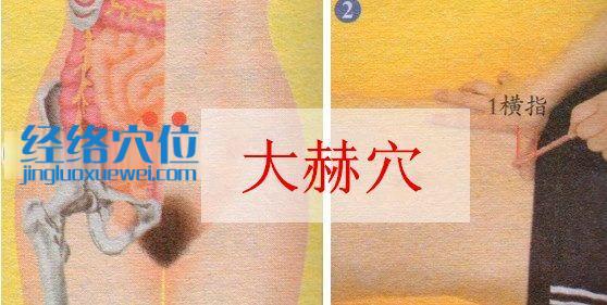 大赫穴位位置圖