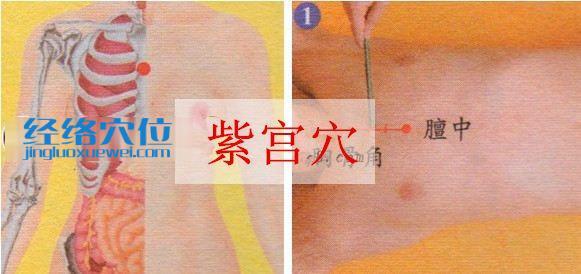 紫宮穴的位置圖