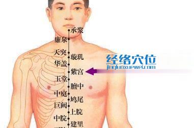 紫宮穴位位置圖