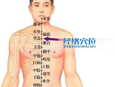 華蓋穴位位置圖
