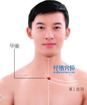 華蓋穴位位置圖