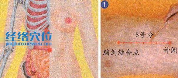 建里穴的準(zhǔn)確位置圖