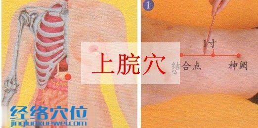 上脘穴的準(zhǔn)確位置圖
