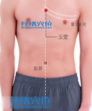 玉堂穴位位置圖