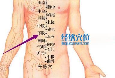 下脘穴位位置圖