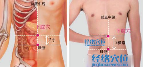 下脘穴位位置圖