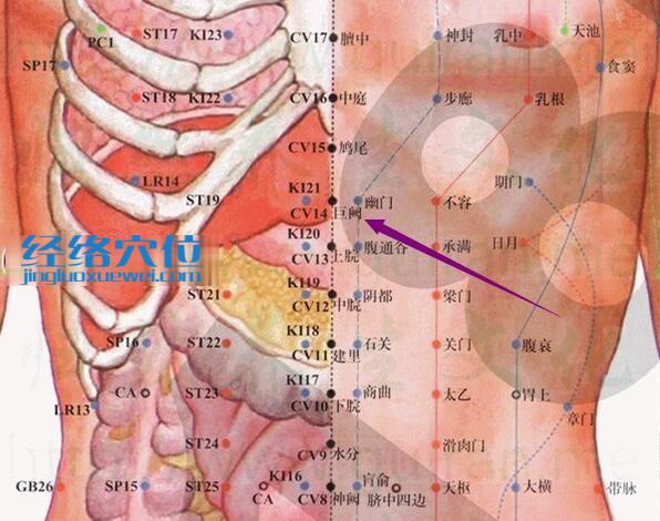 巨闕穴的準(zhǔn)確位置圖