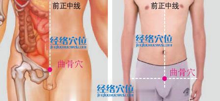 曲骨穴位位置圖