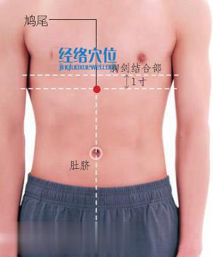 鳩尾穴位位置圖