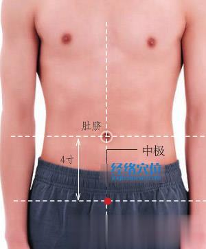 中極穴位位置圖