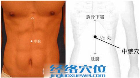 中脘穴的準確位置圖