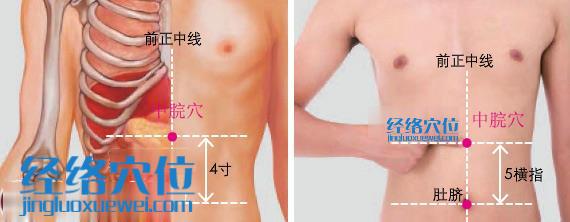 中脘穴位位置圖