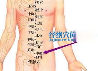 中極穴的位置圖