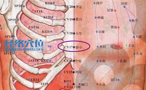 膻中穴的準確位置圖