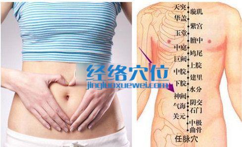 神闕穴位位置圖
