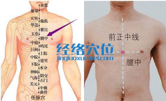 膻中穴位位置圖