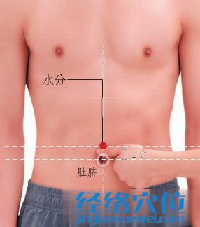 圖解水分穴的位置