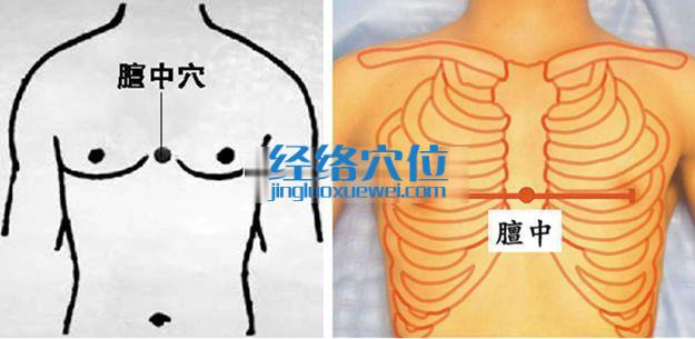 膻中穴的位置圖