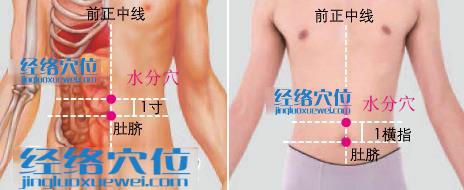 水分穴位位置圖