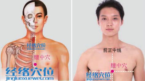 膻中穴位位置圖