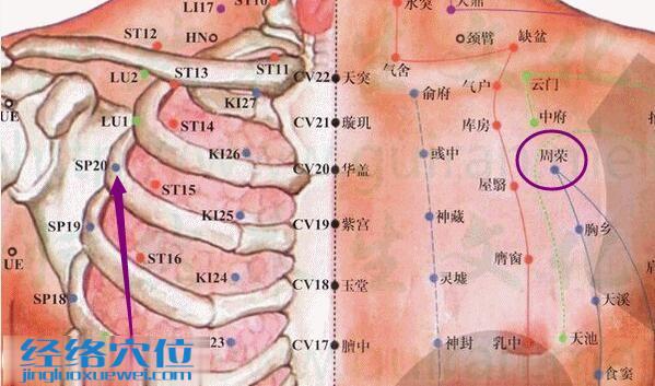 周榮穴的準(zhǔn)確位置圖
