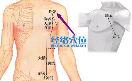 周榮穴位位置圖