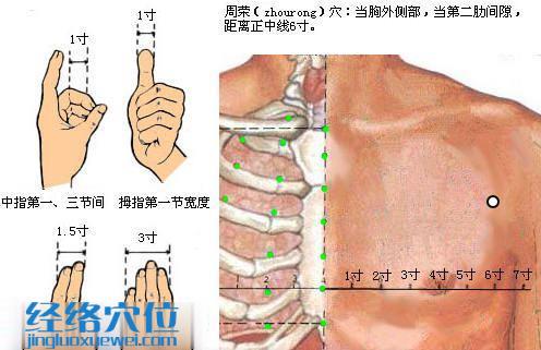 周榮穴位圖