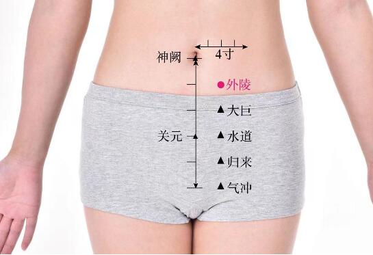 外陵的準(zhǔn)確位置圖及功效視頻位位置圖