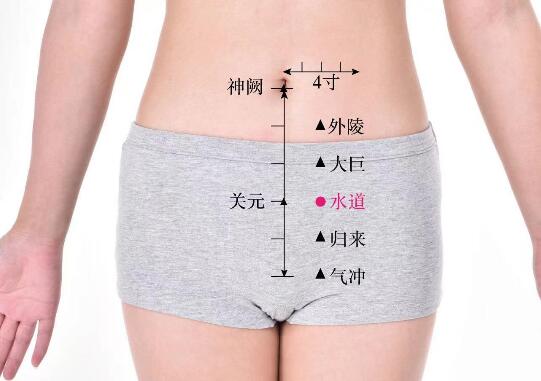 水道的準(zhǔn)確位置圖及功效視頻位位置圖