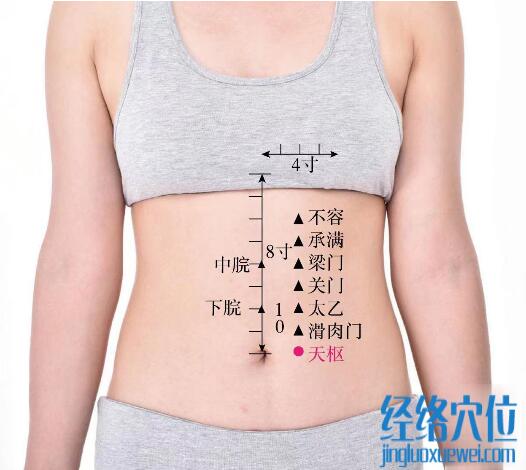天樞的準(zhǔn)確位置圖及功效視頻位位置圖