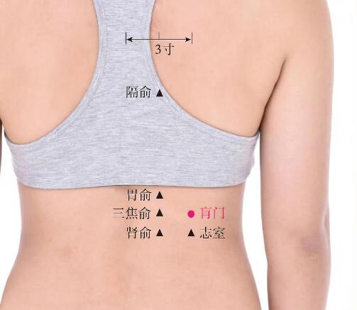 肓門(mén)的準(zhǔn)確位置圖及功效視頻位位置圖