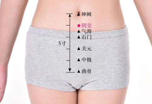 陰交的準(zhǔn)確位置圖及功效視頻位位置圖
