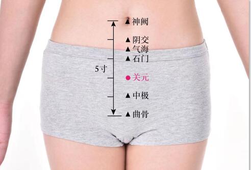 關(guān)元的準(zhǔn)確位置圖及功效視頻位位置圖