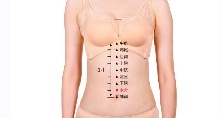 水分的準(zhǔn)確位置圖及功效視頻位位置圖