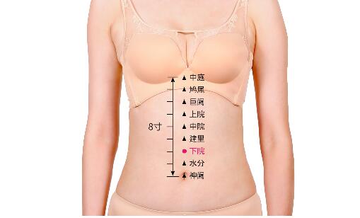 下脘的準(zhǔn)確位置圖及功效視頻位位置圖