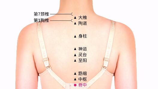 脊中的準(zhǔn)確位置圖及功效視頻位位置圖