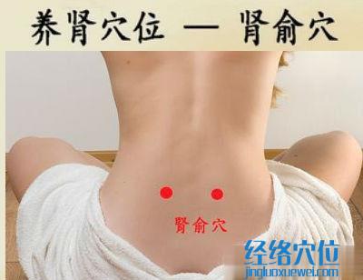 腎俞穴的位置圖