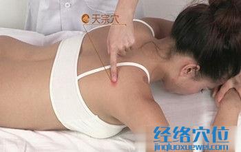 天宗穴的準確位置圖