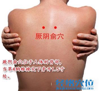 厥陰俞穴位位置圖