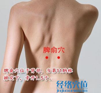 脾俞穴位位置圖